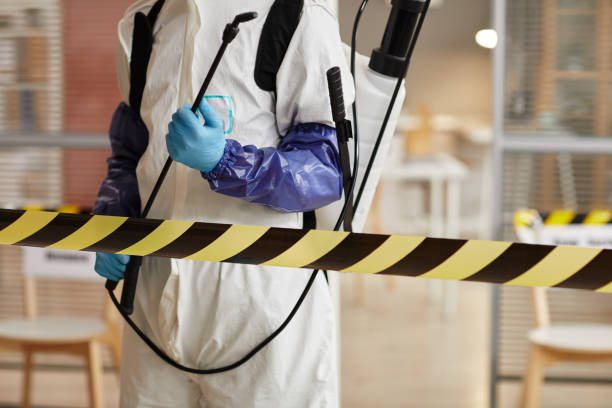Professional Sewage Cleanup technician working in Crete, NE
